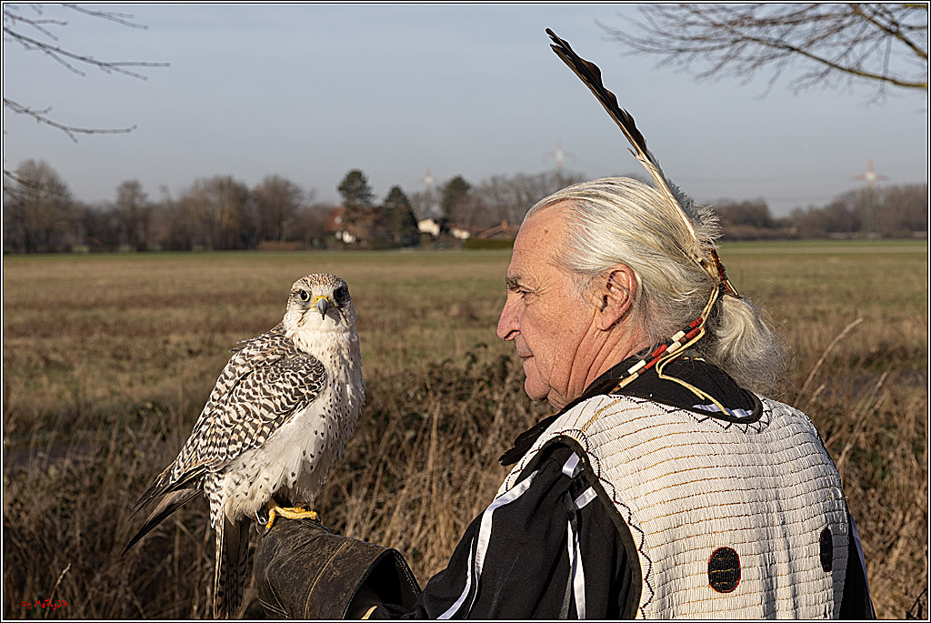 Cheyenne-Halbblut Hunting Wolf in der Falknerei Pierre Schmidt; Gymnich, 09.02.2023